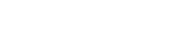 Pixelum
